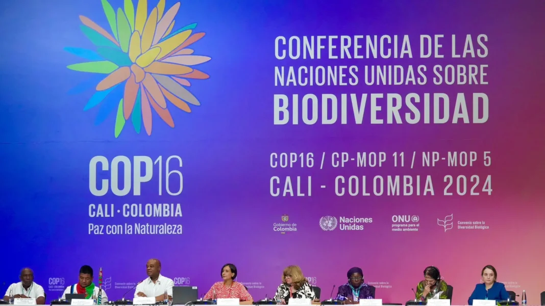 Representantes indígenas celebran la creación del Fondo de Cali en la COP16.